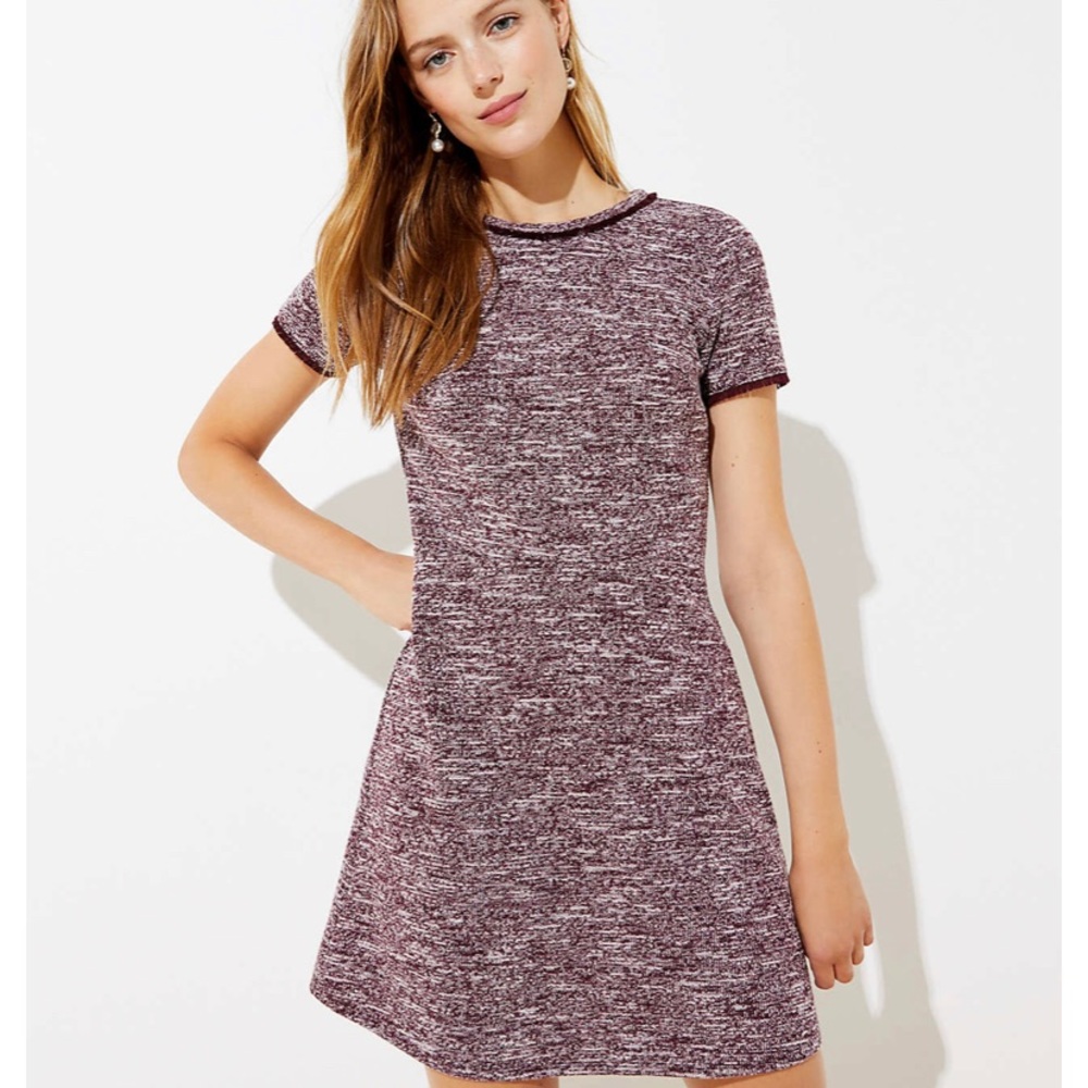 LOFT Petite Shift Dress in Mauve Rose *LAST CALL*